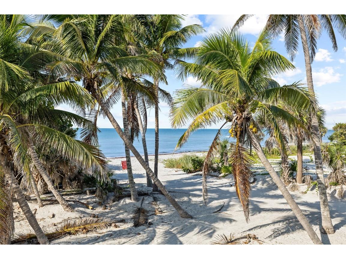 8754 King Street Placida FL 33946 - GULF OF AMERICA C7508239 image61