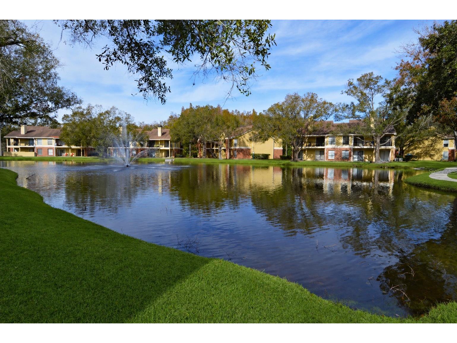 8754 Mallard Reserve Drive #202 Tampa FL 33614 TB8518766 image62