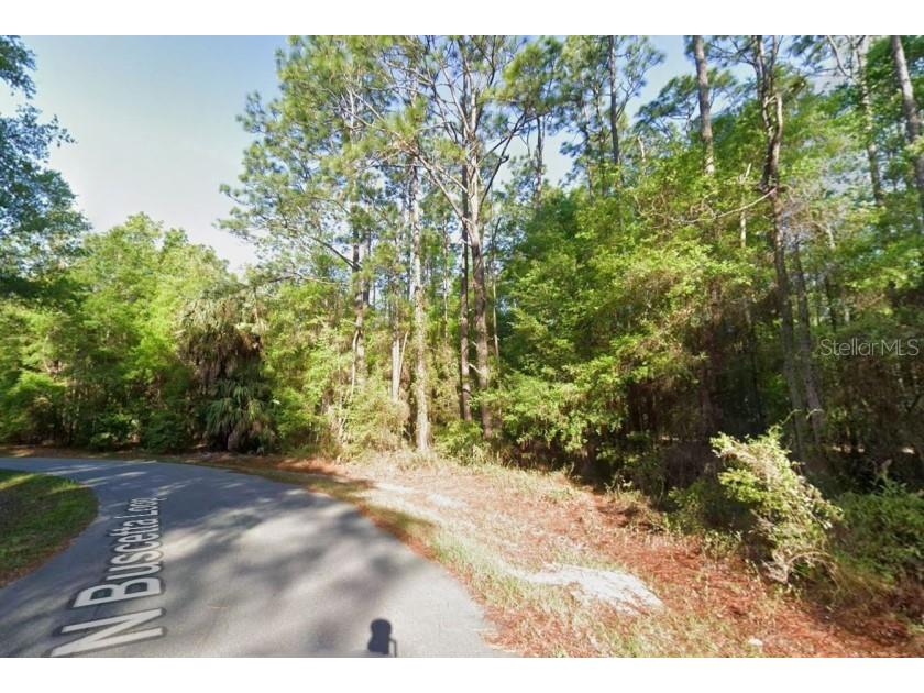 8754 N Buscetta Loop Crystal River FL 34428 TB8504065 image1
