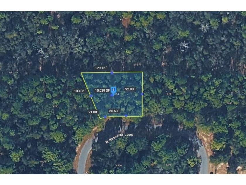 8754 N Buscetta Loop Crystal River FL 34428 TB8504065 image2