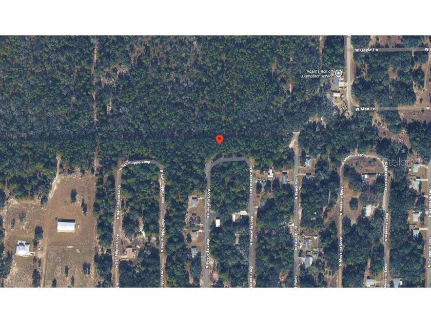 8754 N Buscetta Loop Crystal River FL 34428 TB8504065 image3