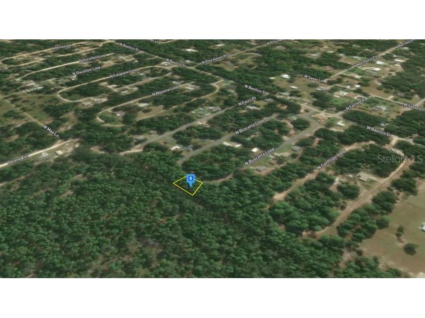 8754 N Buscetta Loop Crystal River FL 34428 TB8504065 image9