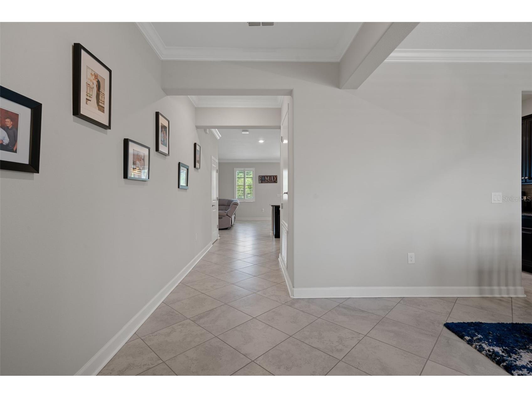 8755 Flourish Drive Land O Lakes FL 34637 TB8515081 image12
