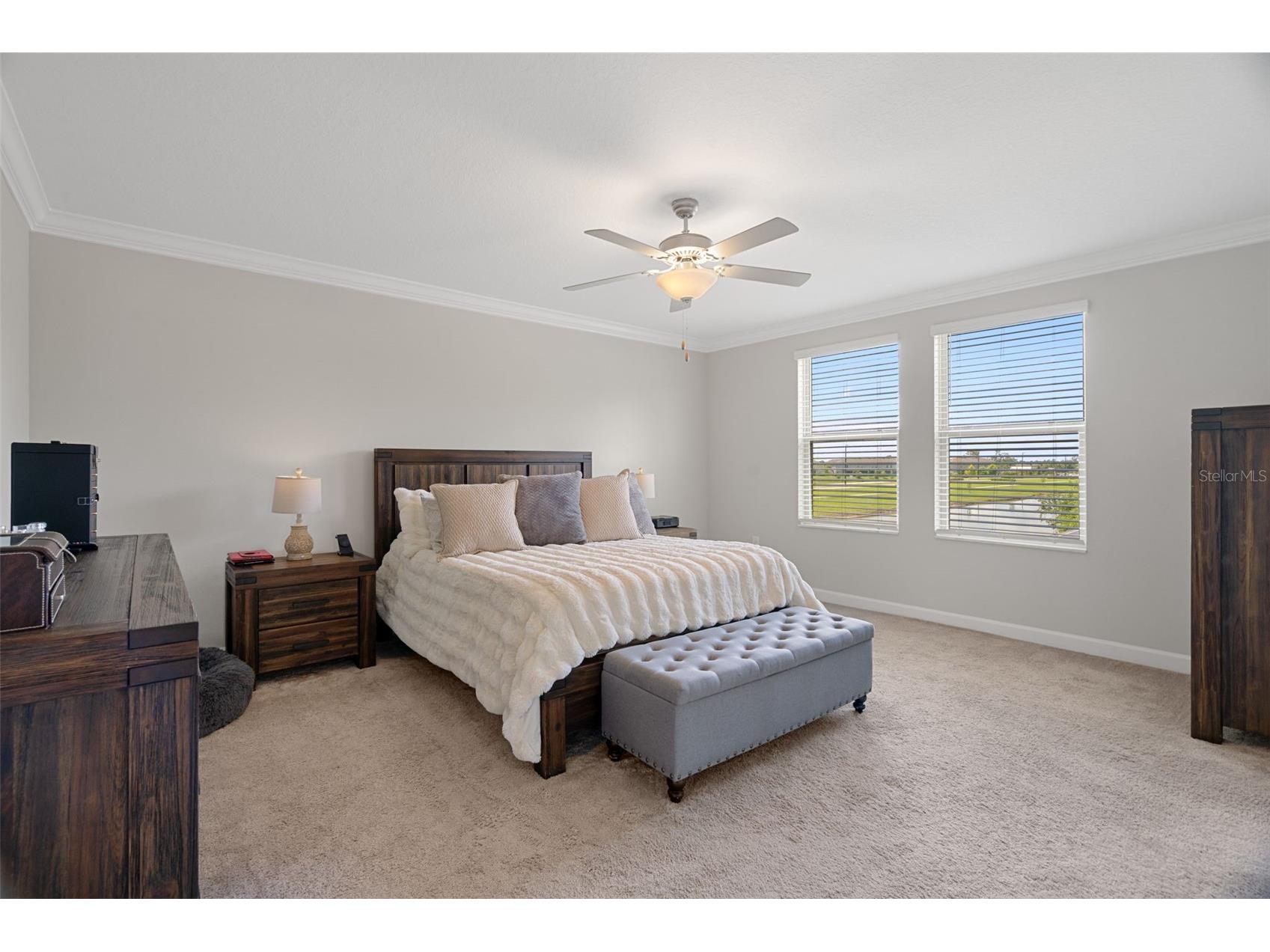 8755 Flourish Drive Land O Lakes FL 34637 TB8515081 image35