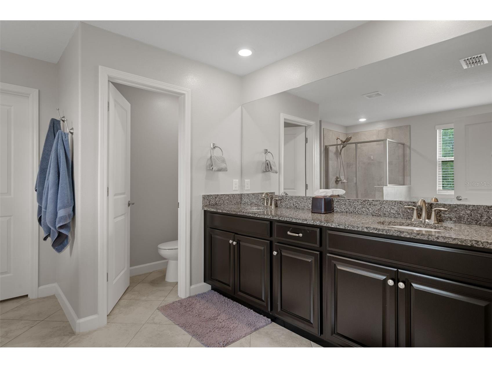 8755 Flourish Drive Land O Lakes FL 34637 TB8515081 image38