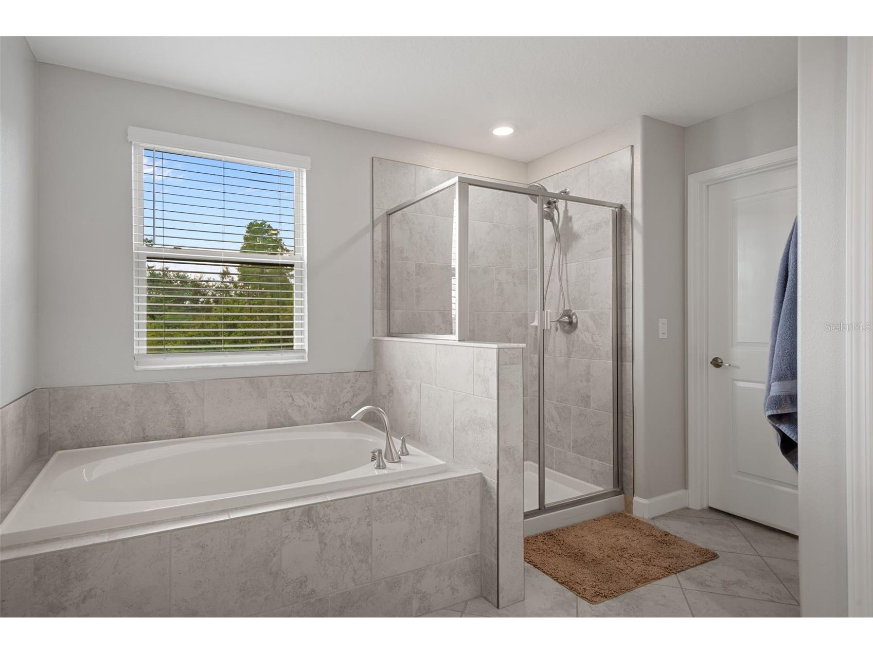 8755 Flourish Drive Land O Lakes FL 34637 TB8515081 image39