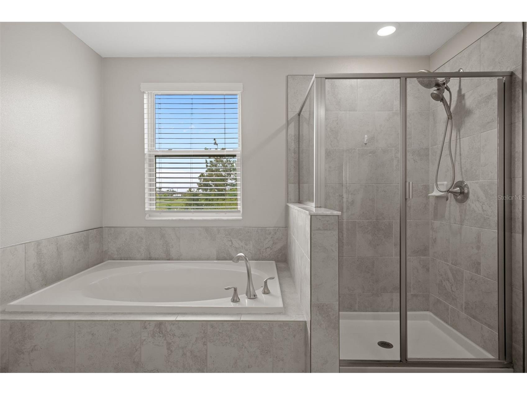 8755 Flourish Drive Land O Lakes FL 34637 TB8515081 image40