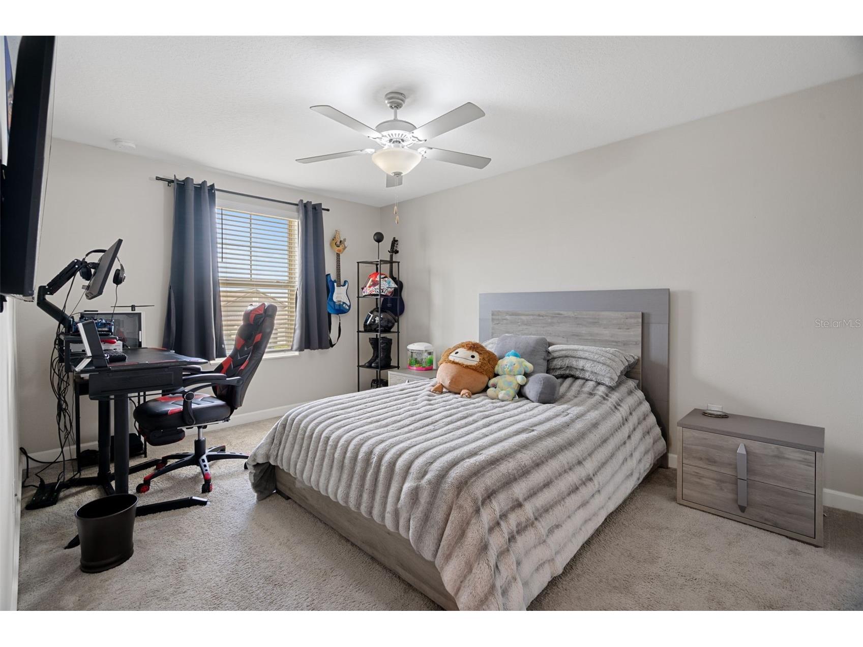 8755 Flourish Drive Land O Lakes FL 34637 TB8515081 image49