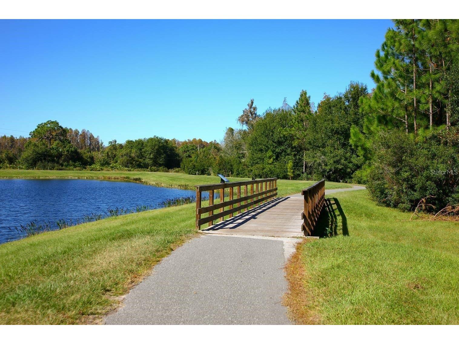 8755 Flourish Drive Land O Lakes FL 34637 TB8515081 image82