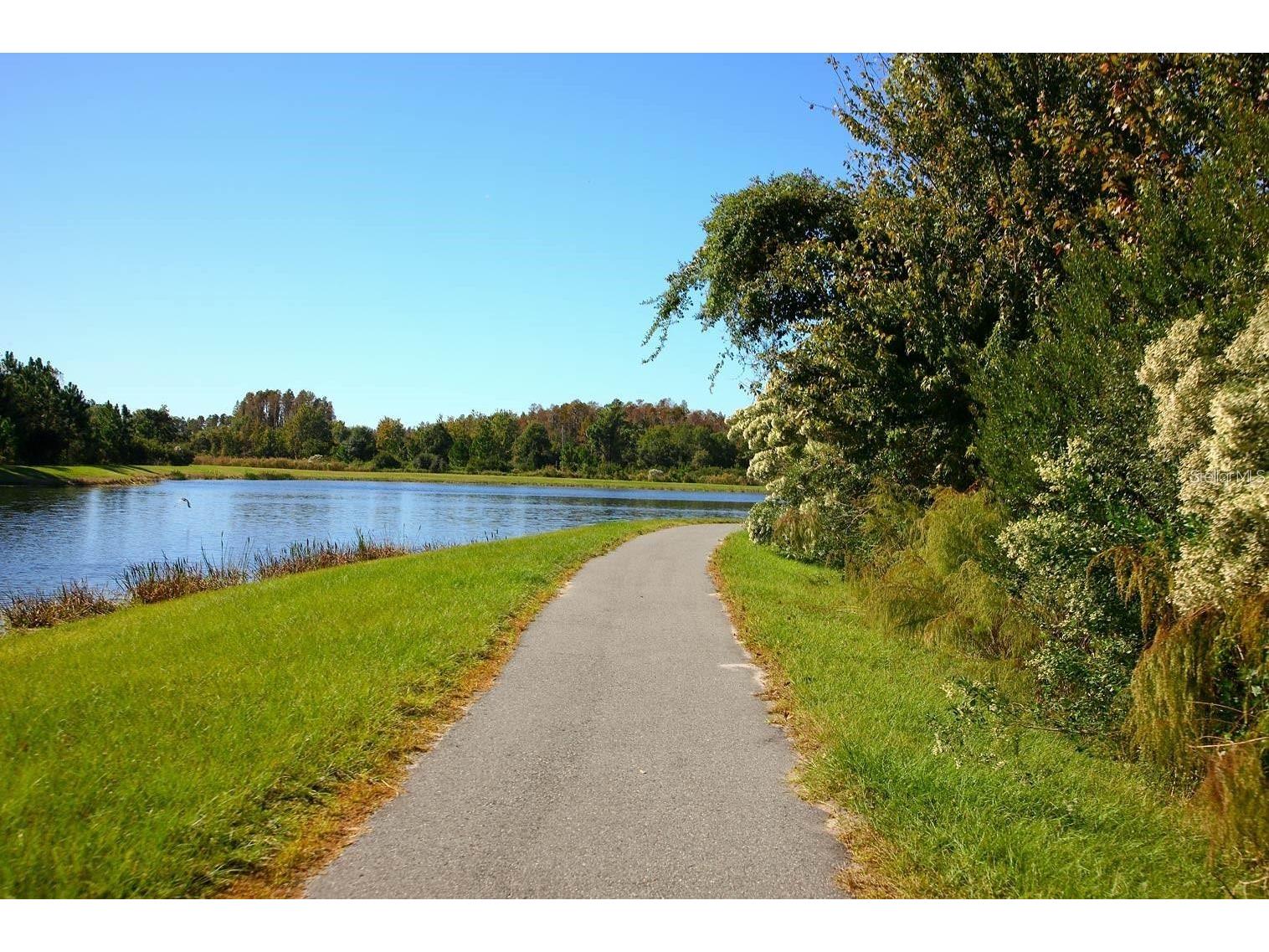 8755 Flourish Drive Land O Lakes FL 34637 TB8515081 image83
