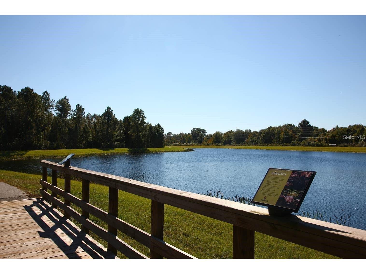 8755 Flourish Drive Land O Lakes FL 34637 TB8515081 image84