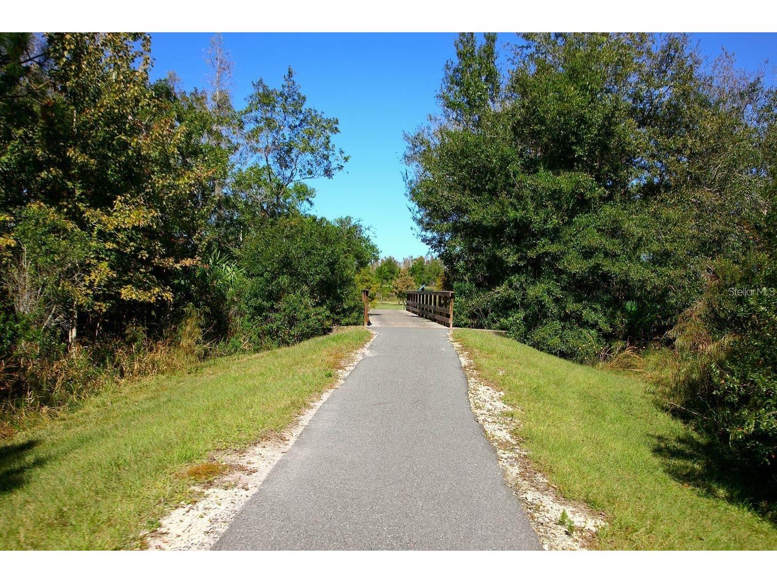 8755 Flourish Drive Land O Lakes FL 34637 TB8515081 image85