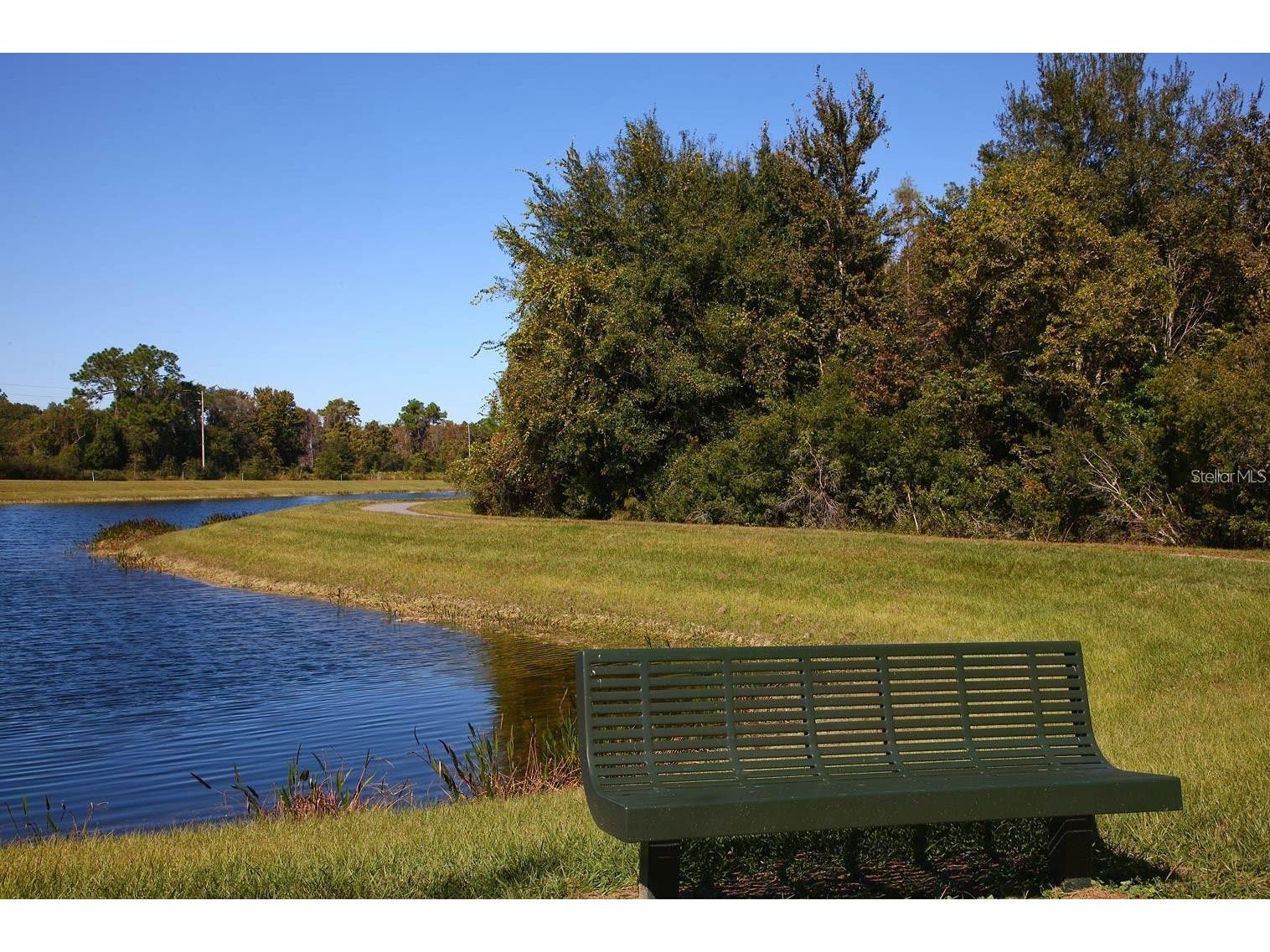 8755 Flourish Drive Land O Lakes FL 34637 TB8515081 image86