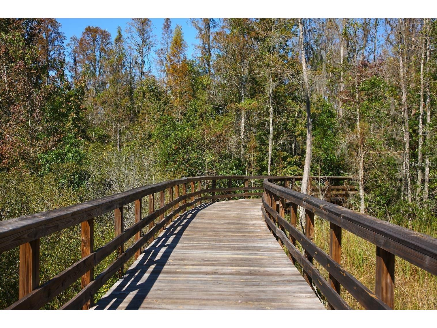8755 Flourish Drive Land O Lakes FL 34637 TB8515081 image87