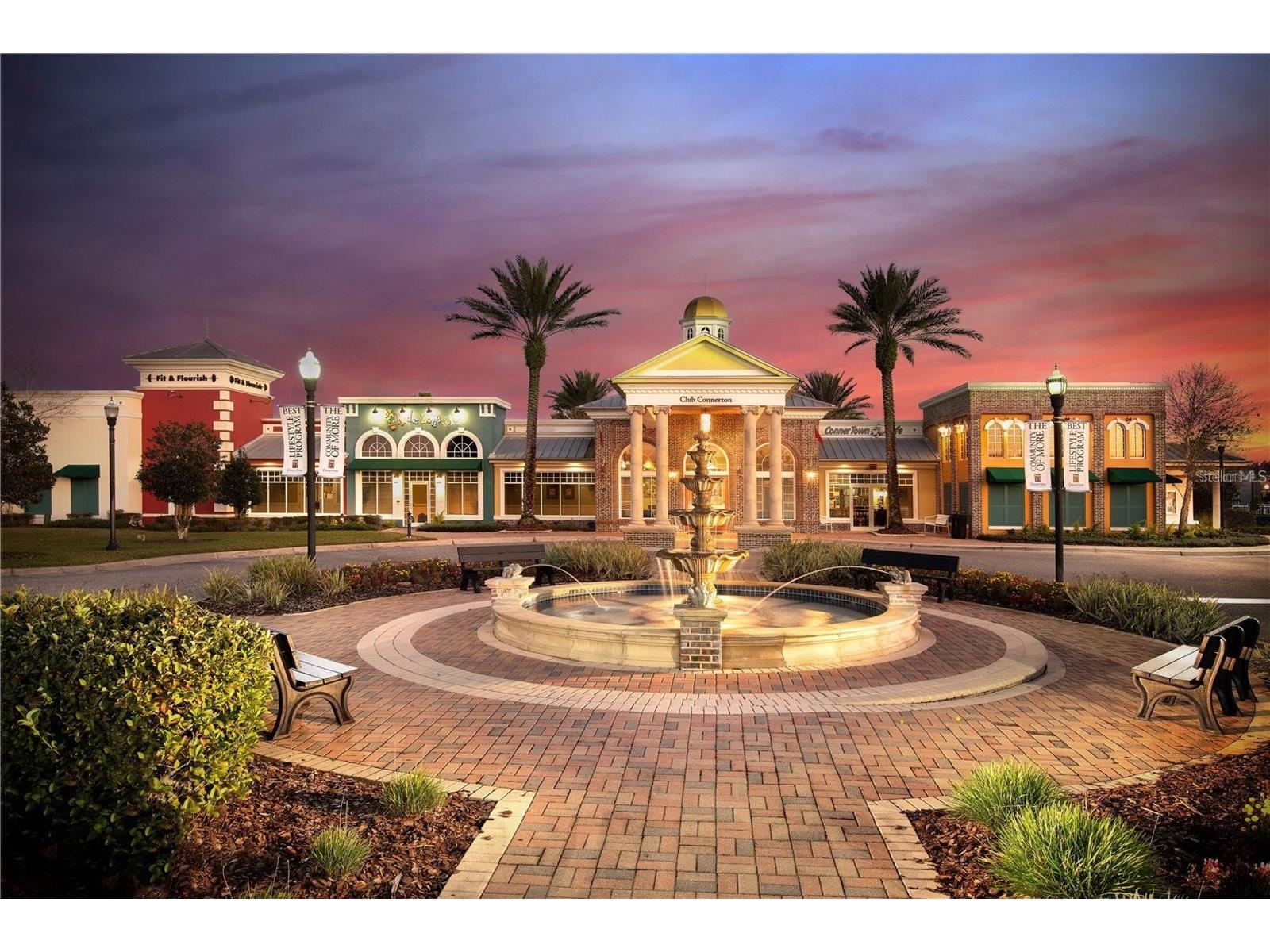 8755 Flourish Drive Land O Lakes FL 34637 TB8515081 image92