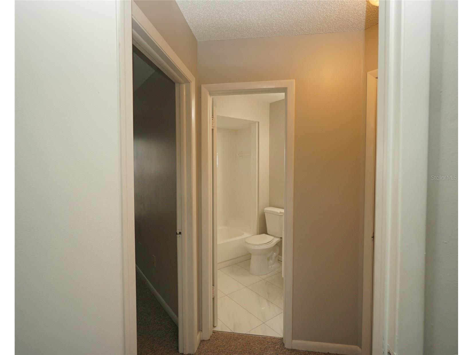 8755 Hampden Drive Tampa FL 33626 TB8524576 image15