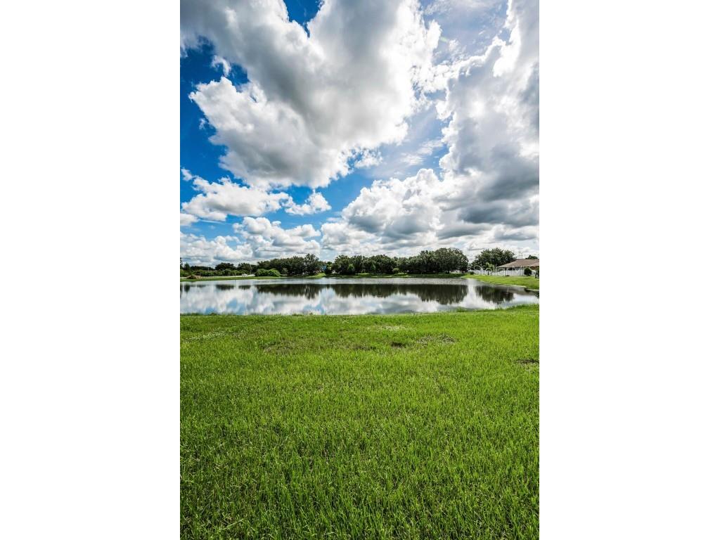 8755 Prairie Creek Drive New Port Richey FL 34655 TB8418150 image27