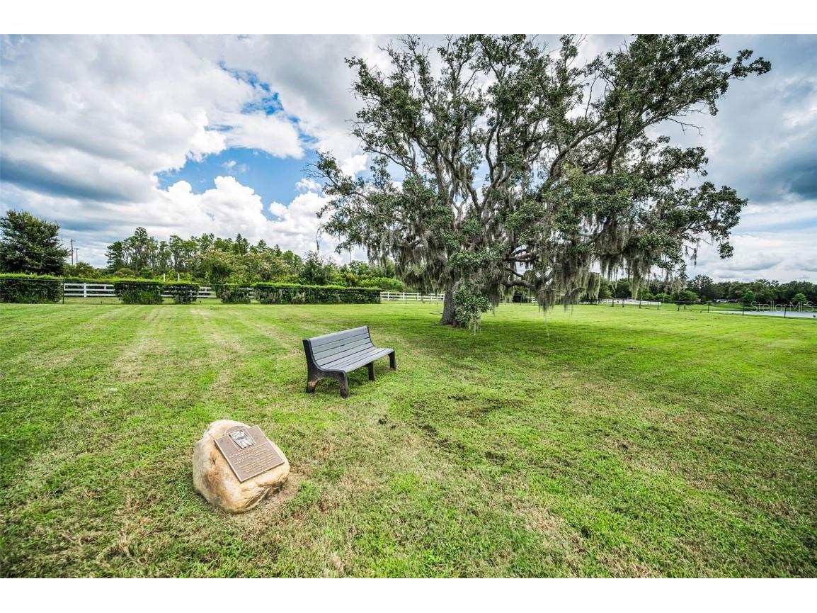 8755 Prairie Creek Drive New Port Richey FL 34655 TB8418150 image31