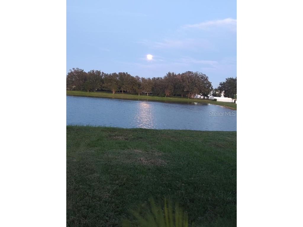 8755 Prairie Creek Drive New Port Richey FL 34655 TB8418150 image34