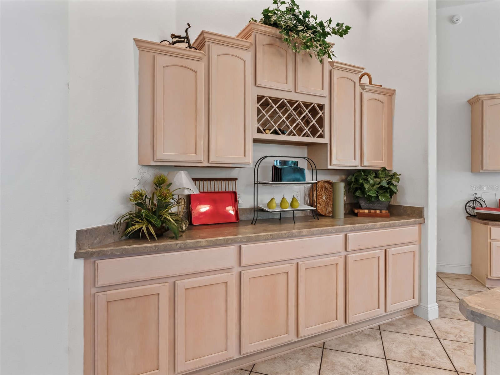 8755 SE 177th Grassmere Street The Villages FL 32162 G5112237 image14