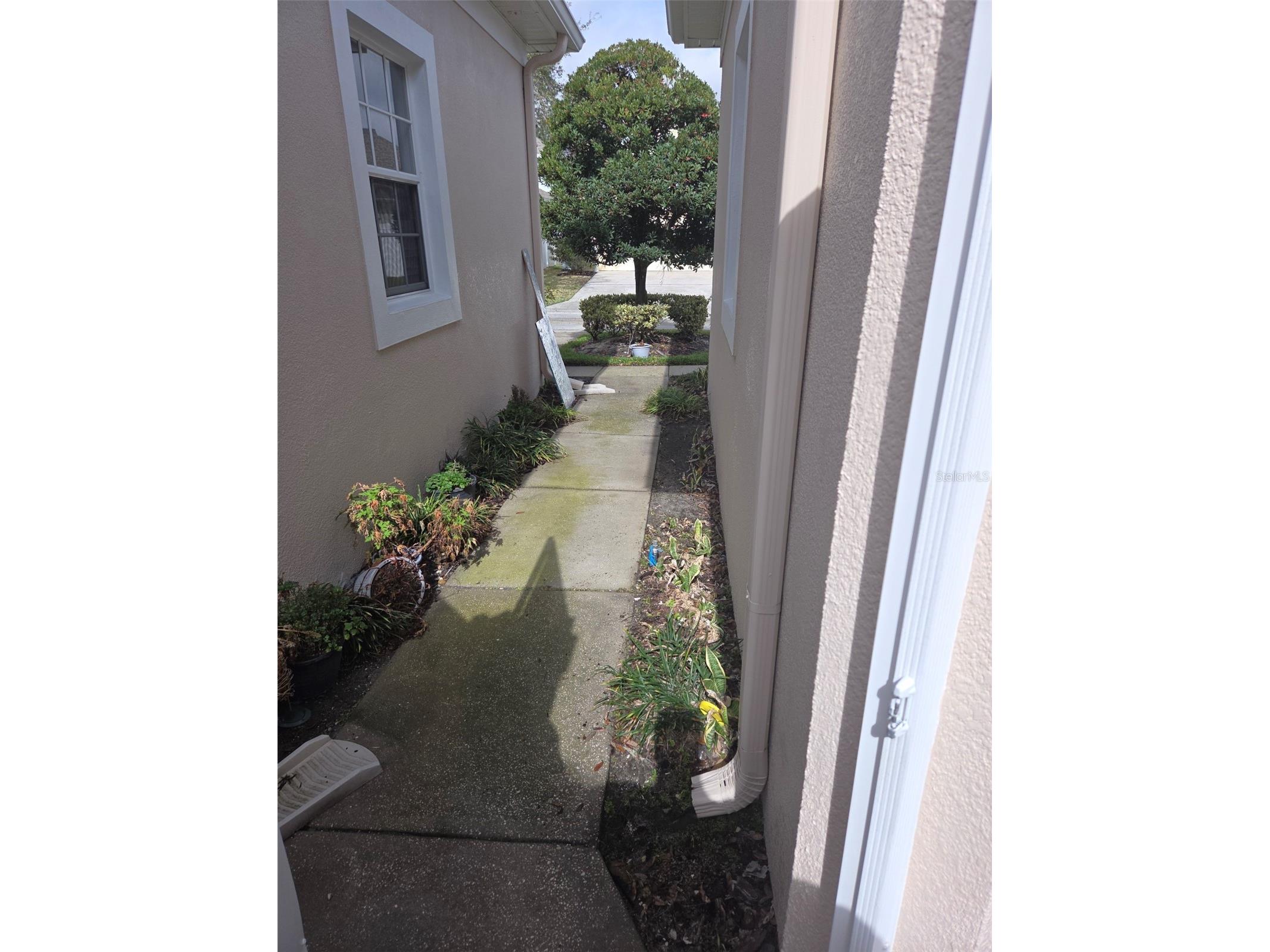 8755 Silk Bay Place Orlando FL 32827 O6387082 image6