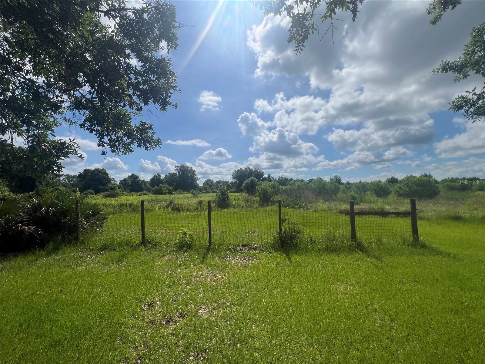 8755 Wauchula Road Myakka City FL 34251 A4697477 image14
