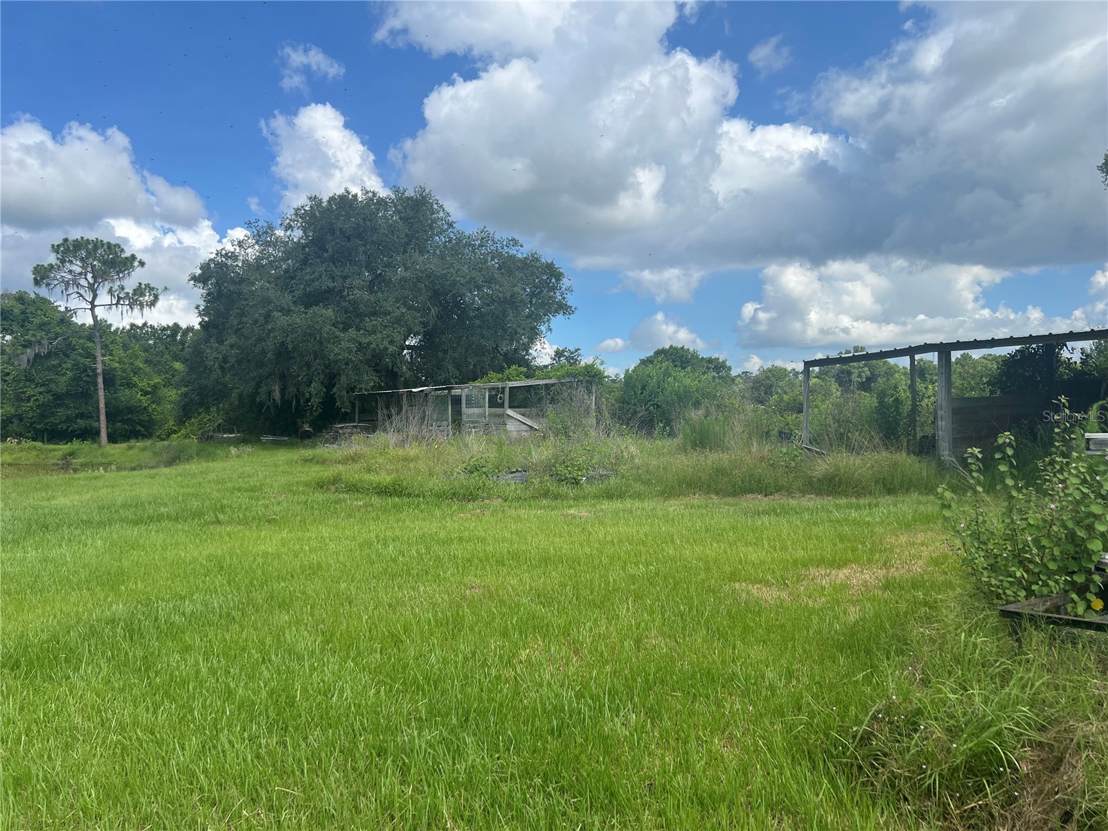 8755 Wauchula Road Myakka City FL 34251 A4697477 image21
