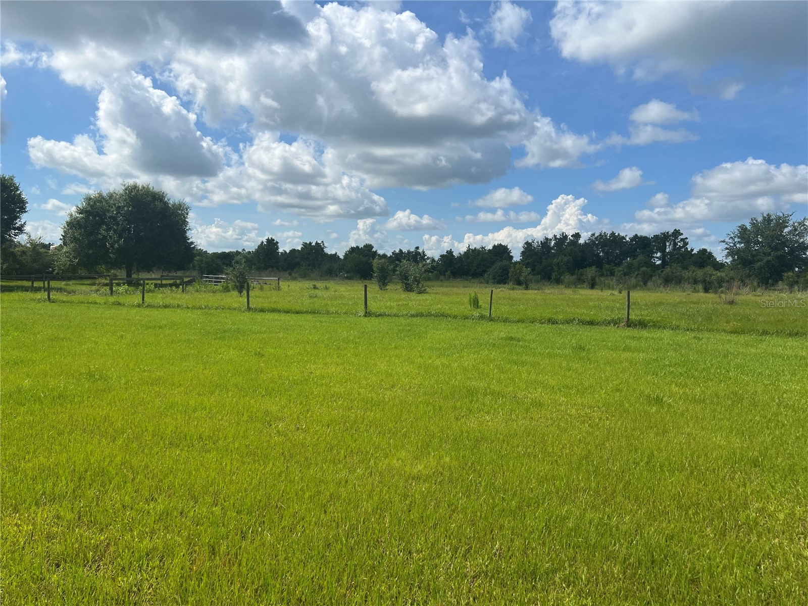 8755 Wauchula Road Myakka City FL 34251 A4697477 image9