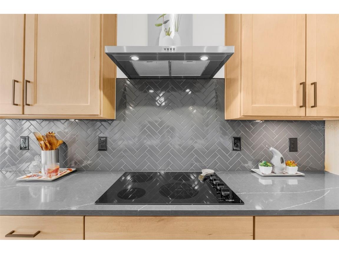 8756 Windlass Cove Parrish FL 34219 TB8442879 image19