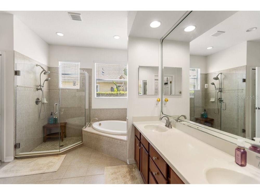 8758 Crystal Creek Court Land O Lakes FL 34638 - LAKE MURIEL TB8513004 image27