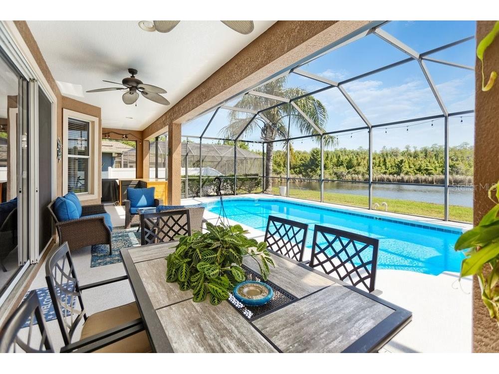 8758 Crystal Creek Court Land O Lakes FL 34638 - LAKE MURIEL TB8513004 image47