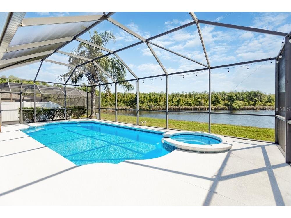 8758 Crystal Creek Court Land O Lakes FL 34638 - LAKE MURIEL TB8513004 image49