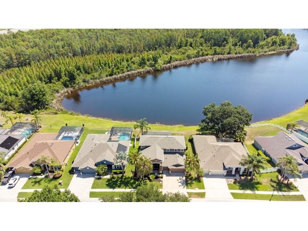 8758 Crystal Creek Court Land O Lakes FL 34638 - LAKE MURIEL TB8513004 image59