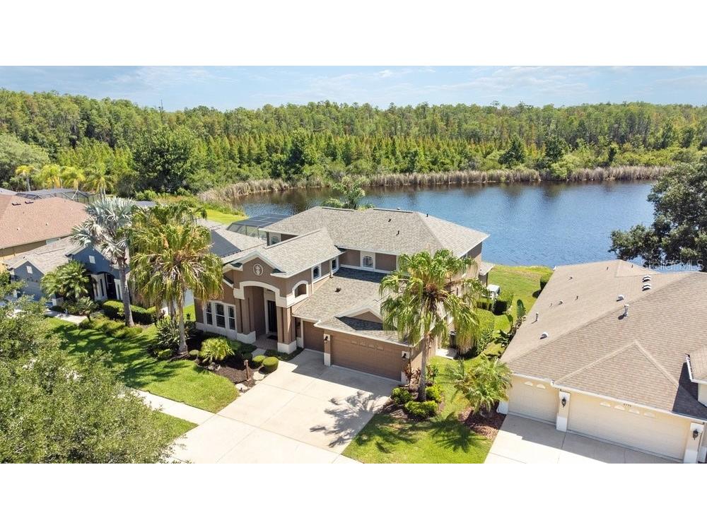 8758 Crystal Creek Court Land O Lakes FL 34638 - LAKE MURIEL TB8513004 image61