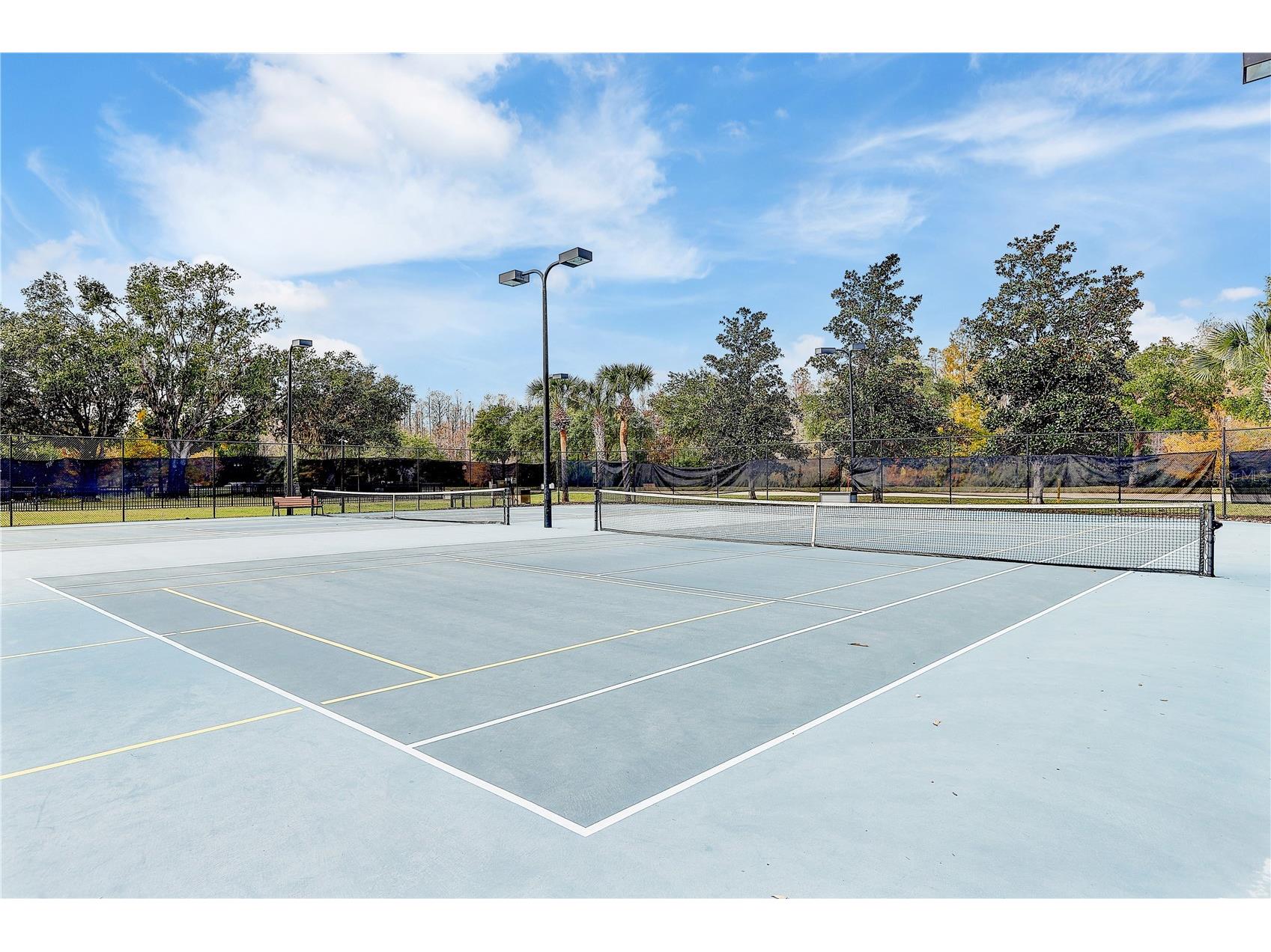 8758 Crystal Creek Court Land O Lakes FL 34638 - LAKE MURIEL TB8513004 image66