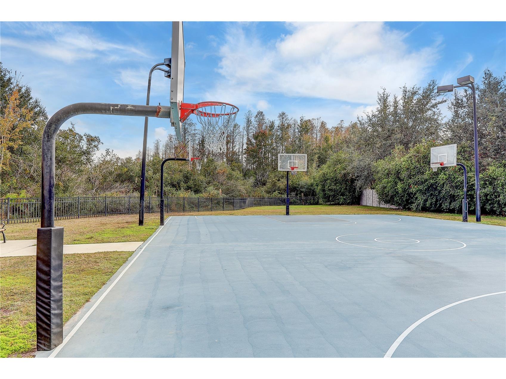 8758 Crystal Creek Court Land O Lakes FL 34638 - LAKE MURIEL TB8513004 image67