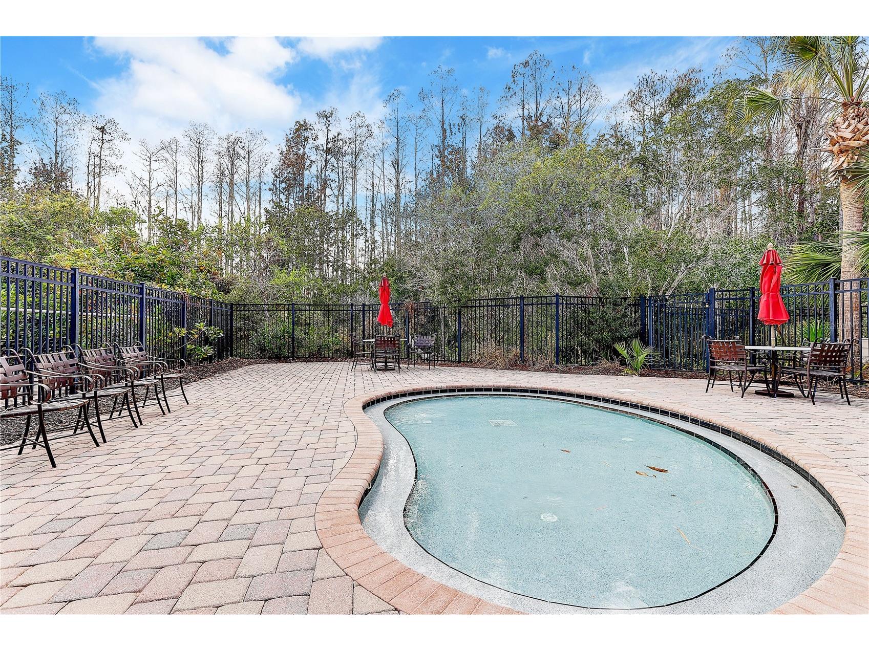 8758 Crystal Creek Court Land O Lakes FL 34638 - LAKE MURIEL TB8513004 image76