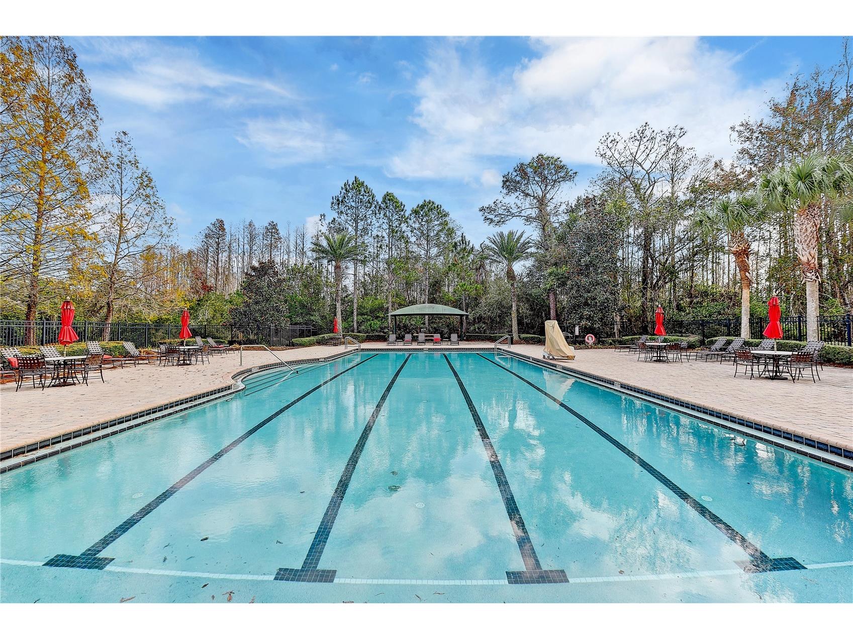 8758 Crystal Creek Court Land O Lakes FL 34638 - LAKE MURIEL TB8513004 image78