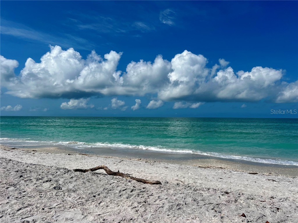 8758 King Street Placida FL 33946 D6142222 image12