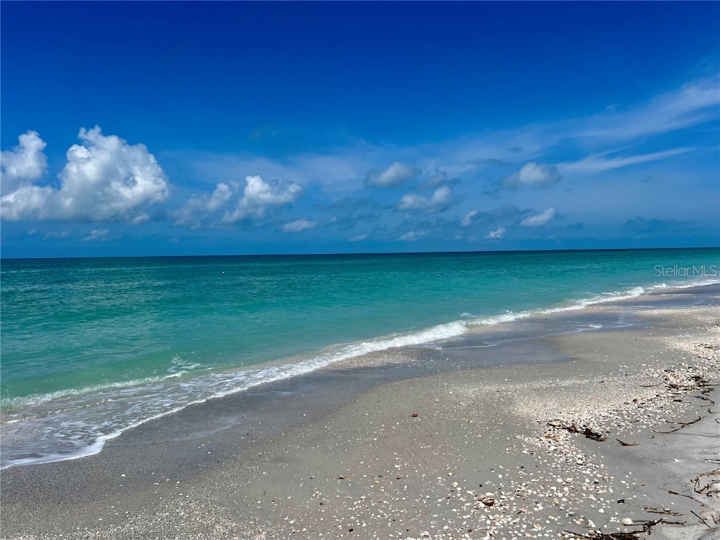 8758 King Street Placida FL 33946 D6142222 image14