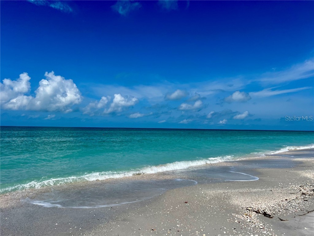 8758 King Street Placida FL 33946 D6142222 image15