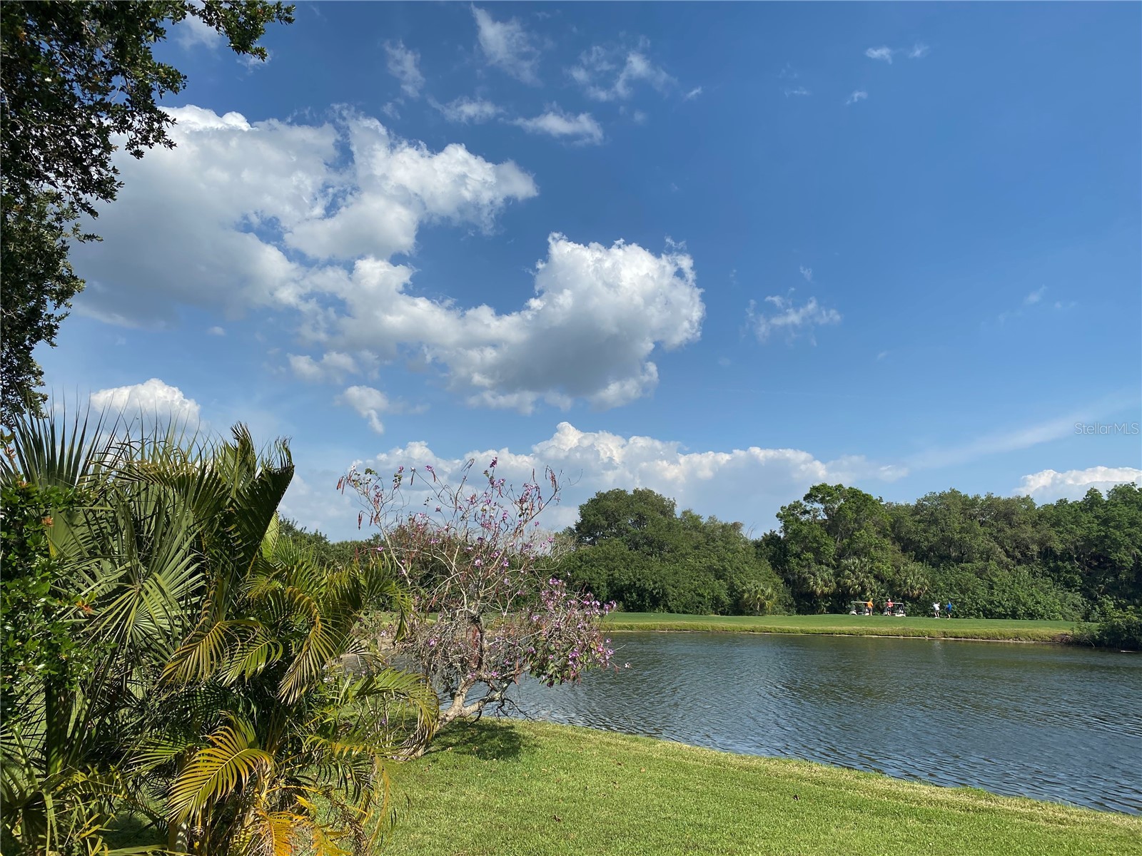 8758 Wild Dunes Drive Sarasota FL 34241 A4693658 image31