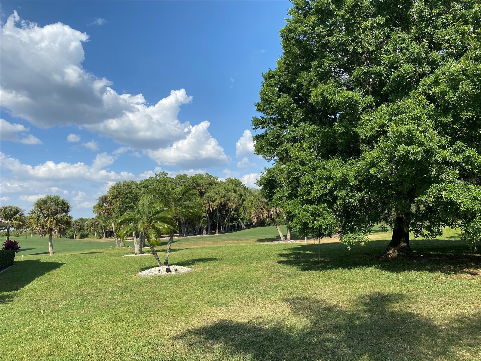 8758 Wild Dunes Drive Sarasota FL 34241 A4693658 image37