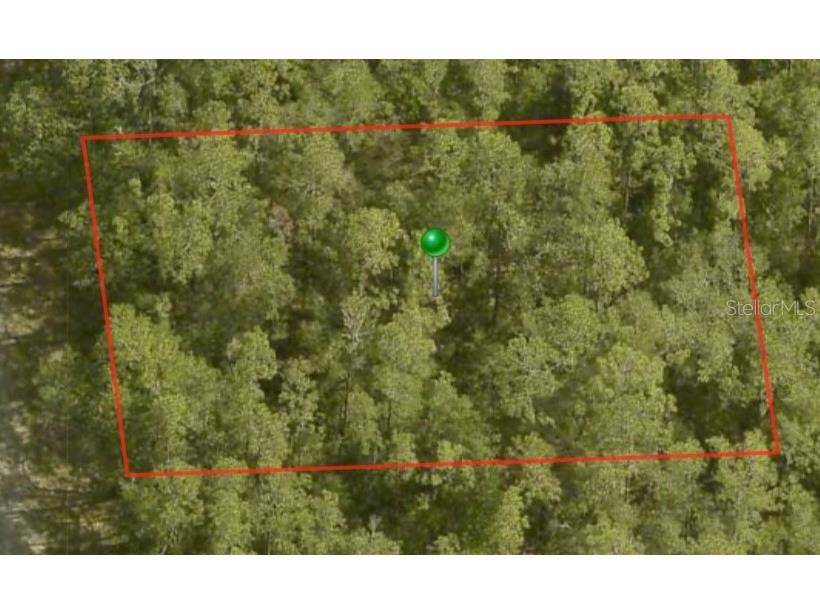 8759 N Sawyer Terrace Dunnellon FL 34434 A4609112 image2