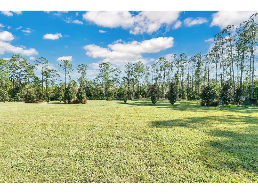 8759 Sonoma Coast Drive Winter Garden FL 34787 S5139789 image39