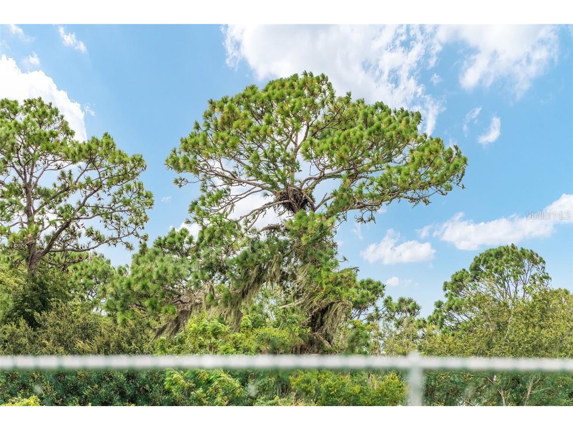 8759 SW 69th Place Road Ocala FL 34481 OM708894 image63