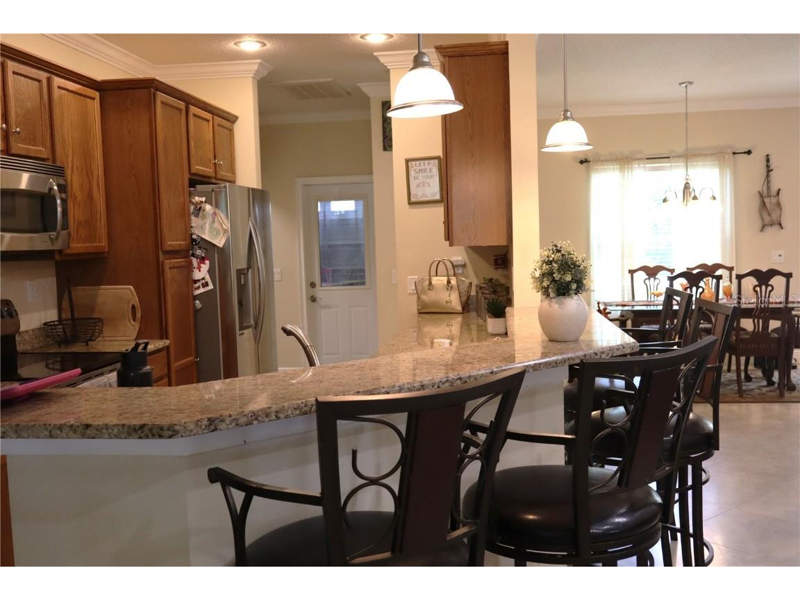 876 Cr 467 Lake Panasoffkee FL 33538 - LAKE PANASOFFKEE OUTLET RIVER G5099469 image12