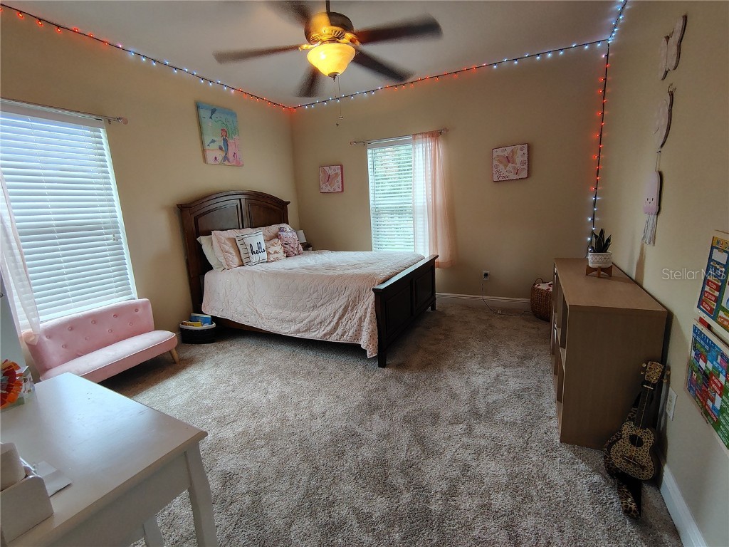 876 Cr 467 Lake Panasoffkee FL 33538 - LAKE PANASOFFKEE OUTLET RIVER G5099469 image34