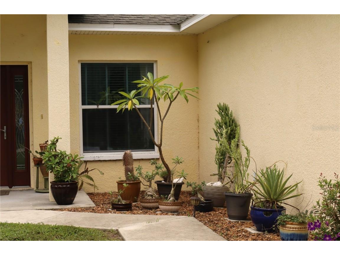 876 Cr 467 Lake Panasoffkee FL 33538 - LAKE PANASOFFKEE OUTLET RIVER G5099469 image4