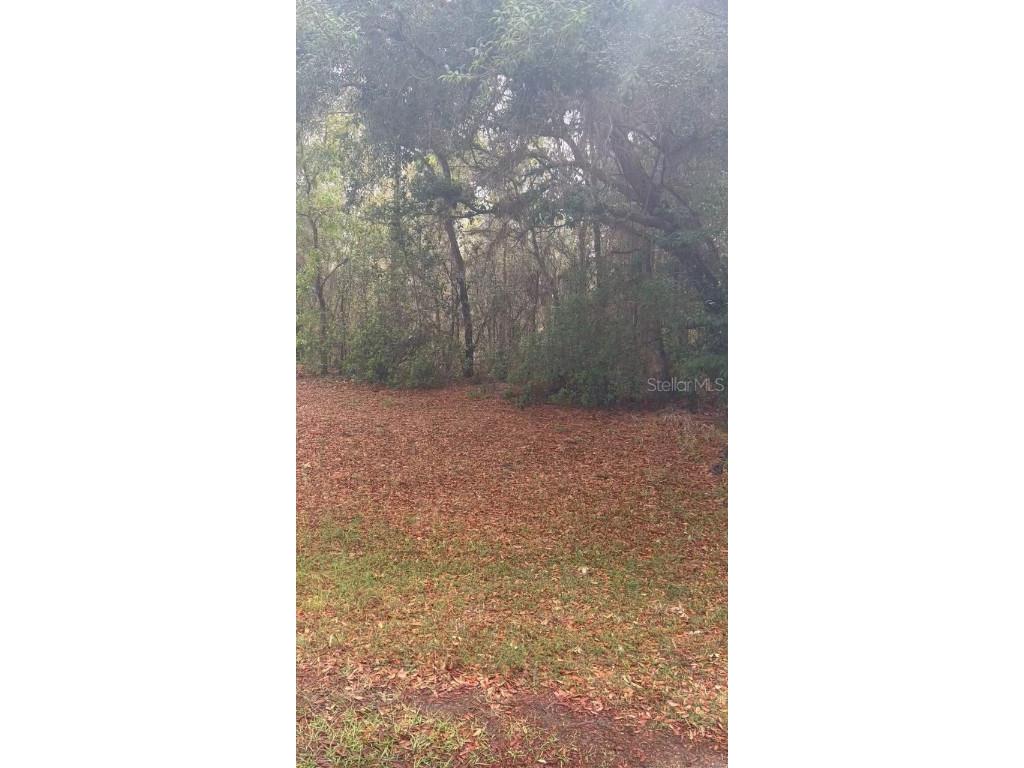 876 N Currier Point Inverness FL 34453 U8197354 image1